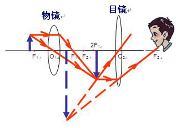 显微镜的光路图